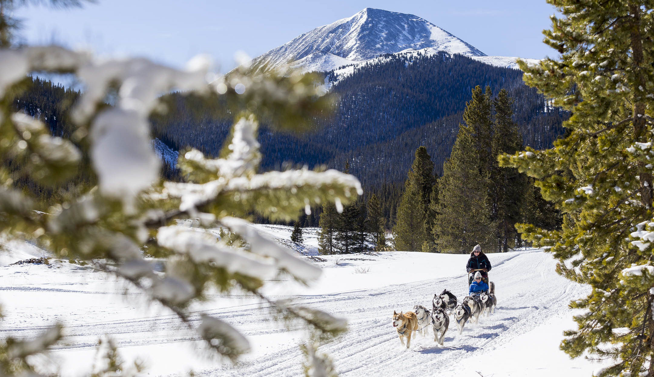 Dogsledding at Goodtimes in Breckenridge