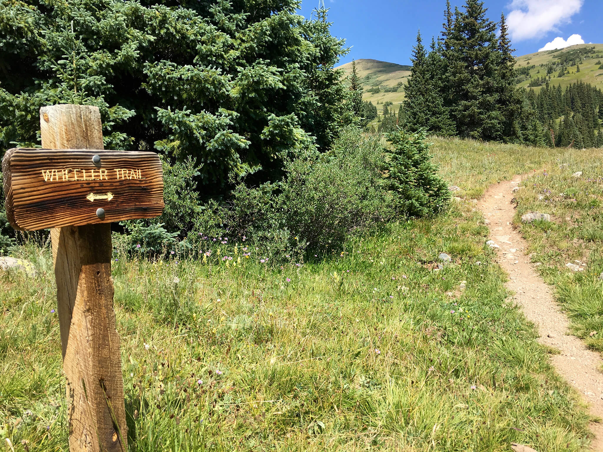Wheeler Trail in Breckenridge