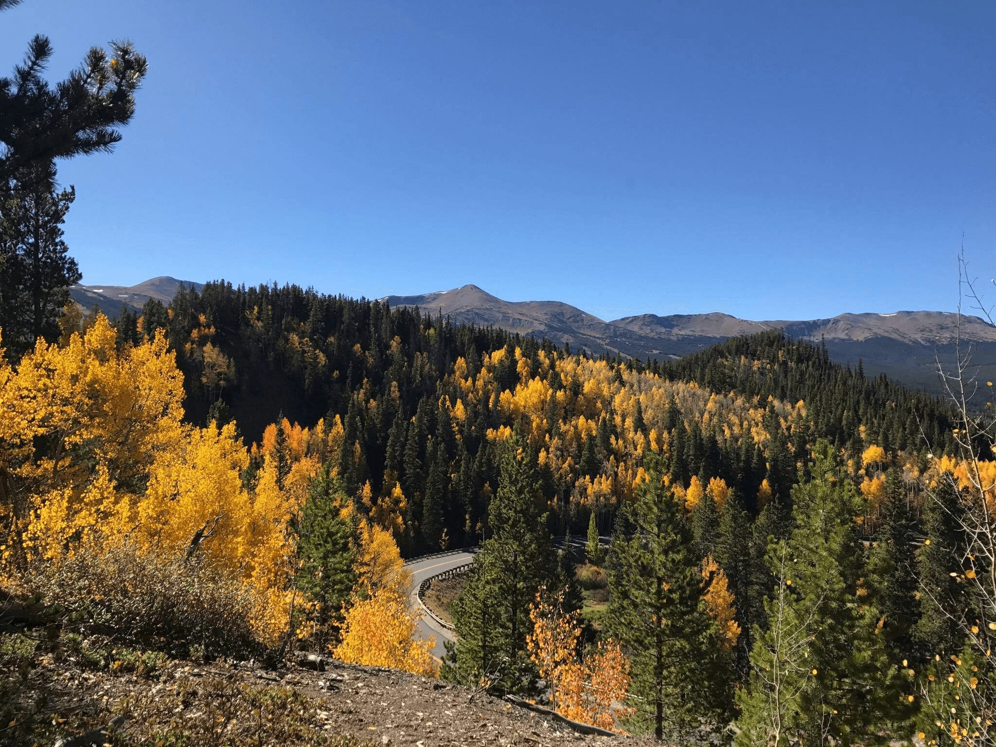 best fall colors in breckenridge autumn in colorado