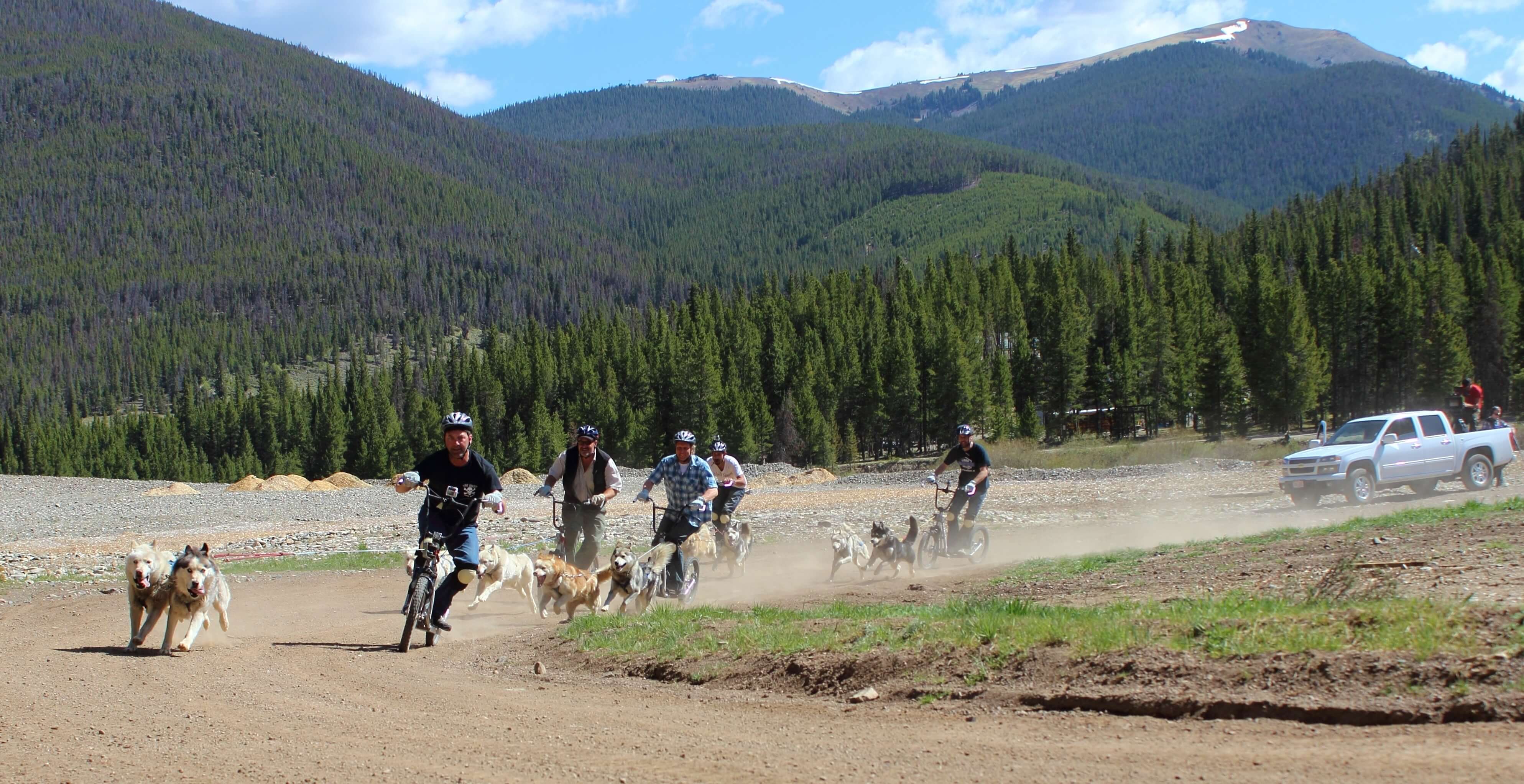 People dog sledding in the summer