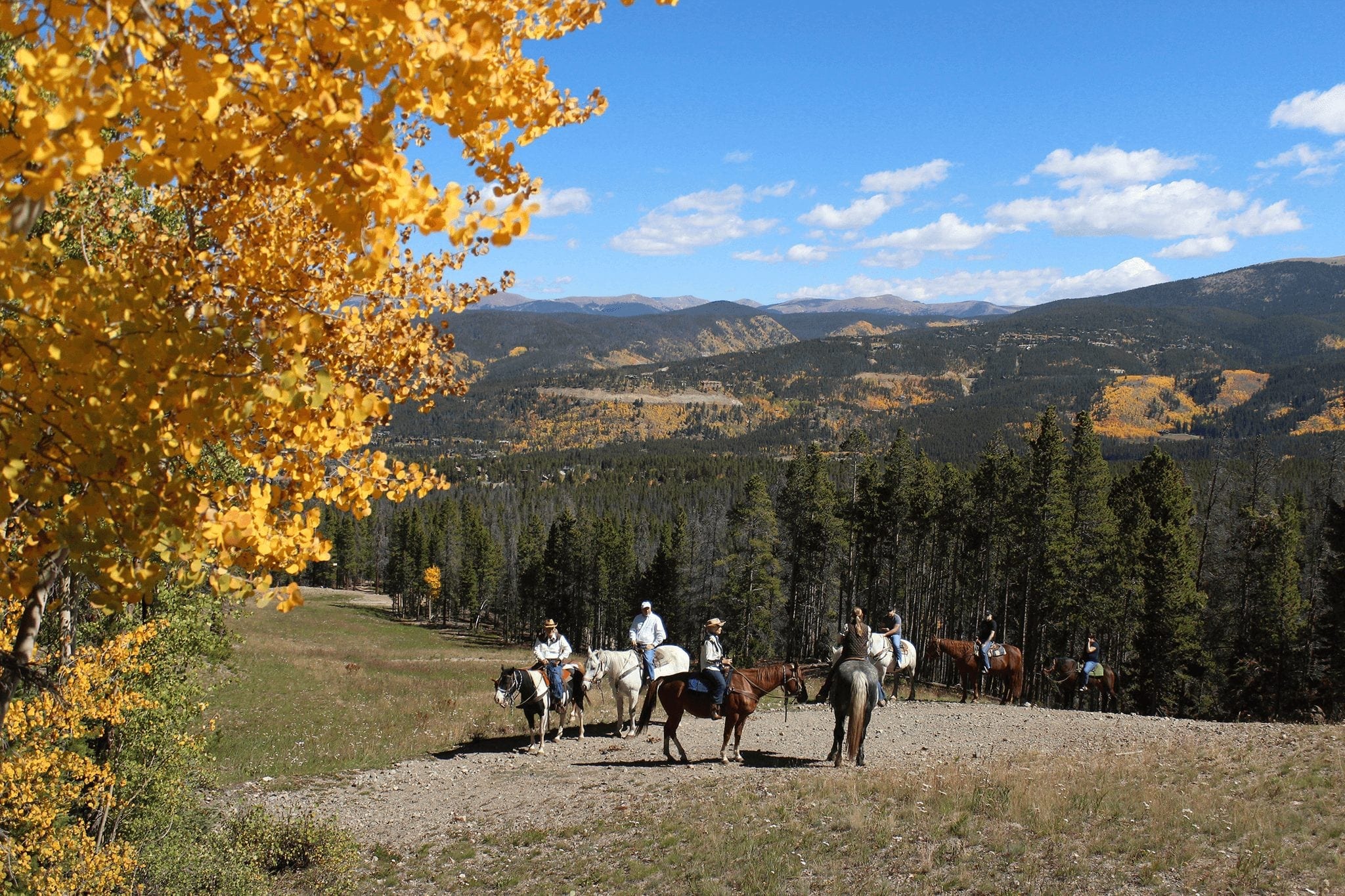 Group Horseback Riding in Breckenridge