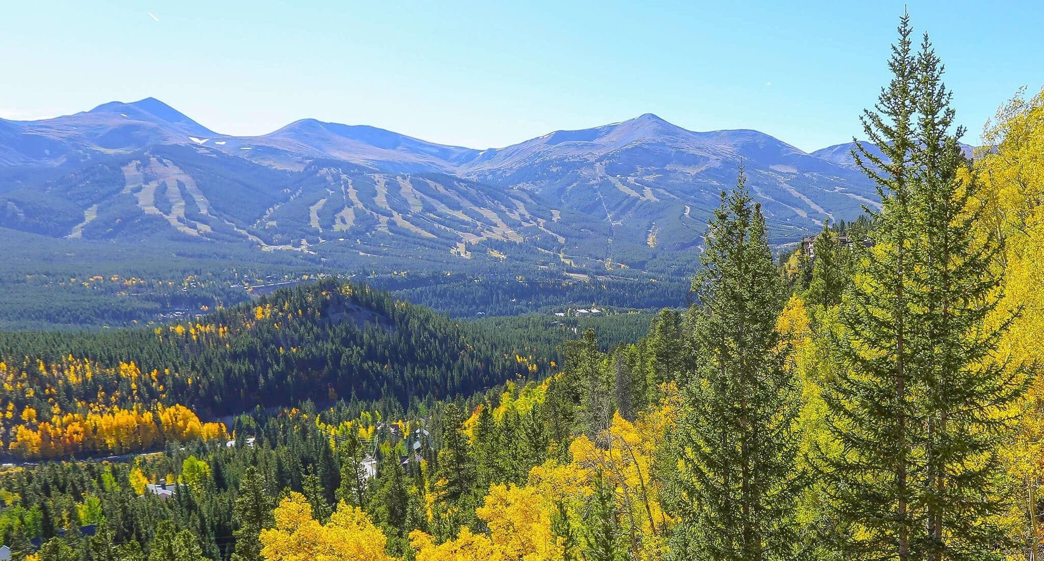 Fall Foliage in Breckenridge from Boreas Pass Road