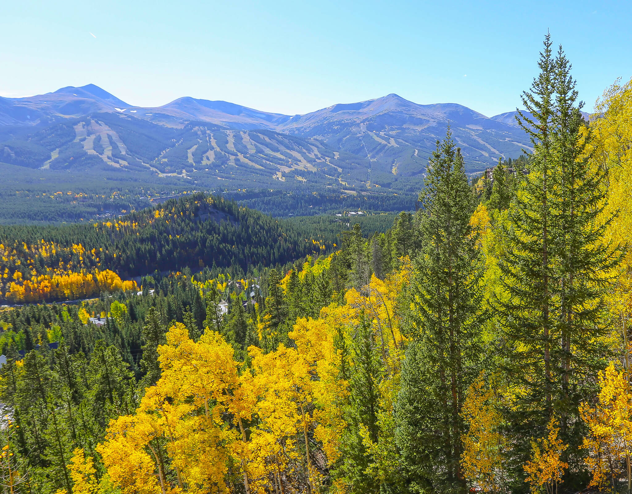 Fall Foliage in Breckenridge from Boreas Pass Road
