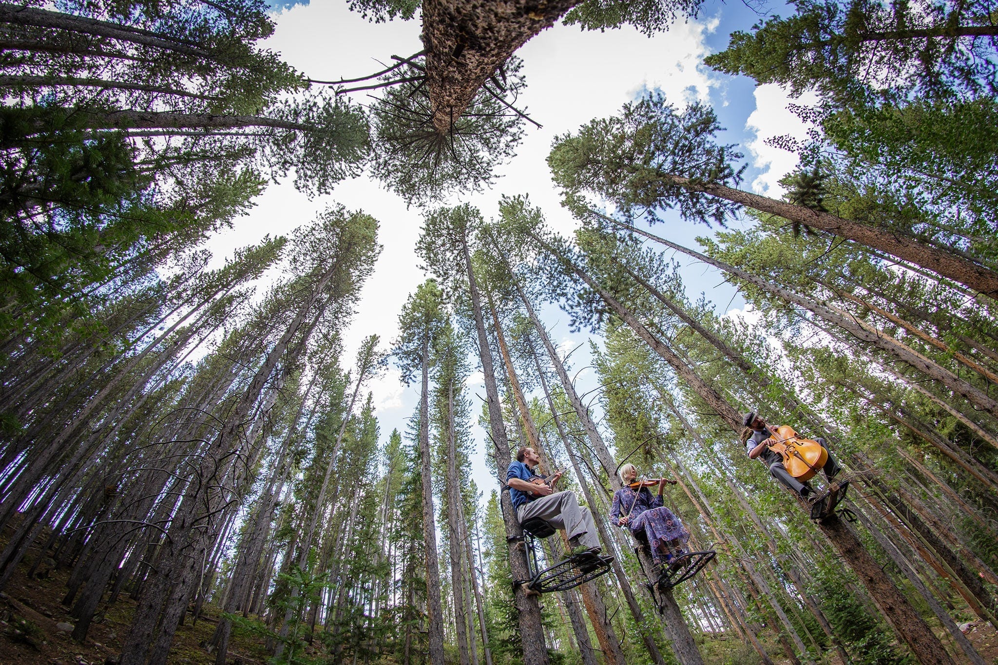 Tree-o features three musicians — cellist Russick Smith, violinist Karen Lauffer and mandolinist Kevin Larkin – in a series of free concerts held in the forest for Breckenridge International Festival of Arts.