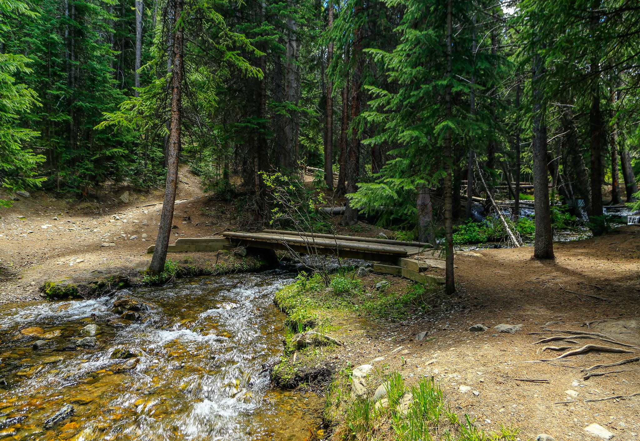 Burro Trail in Breckenridge