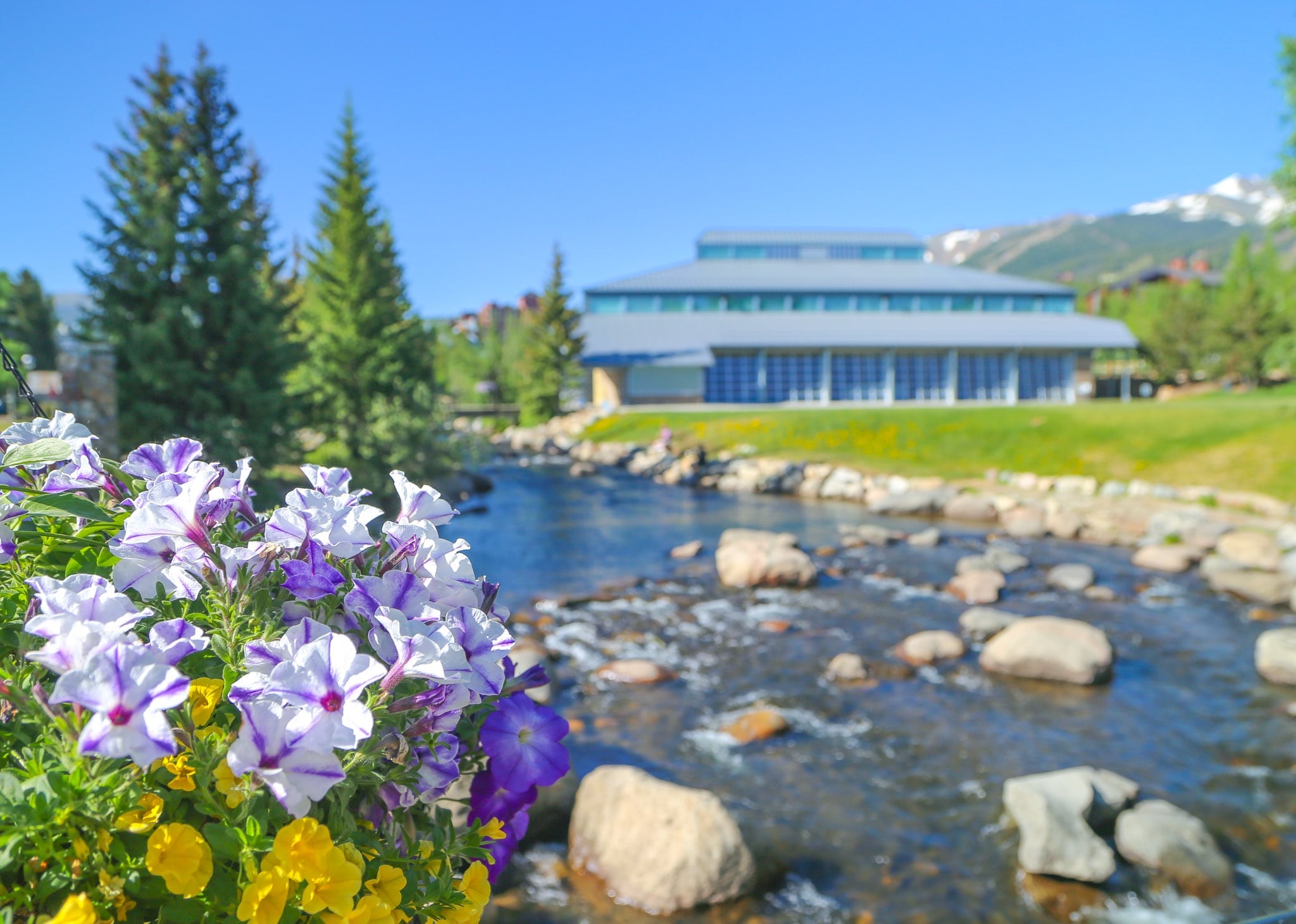 Flowers on Blue River Plaza in the summertime.