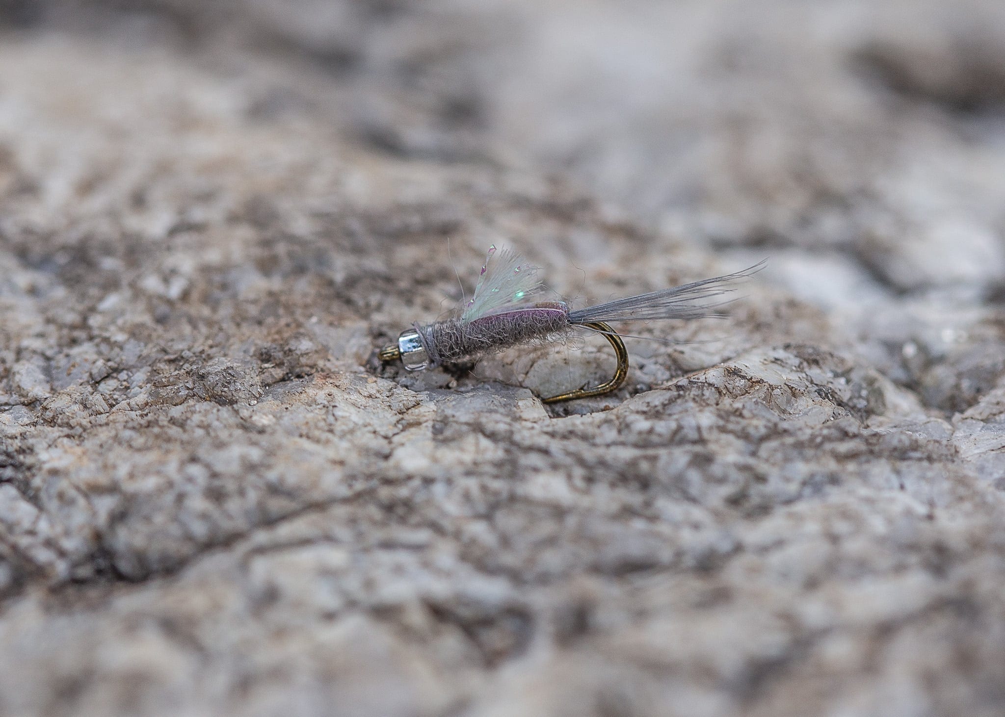 The RS2 Fly. One of the many flies in fly selection.