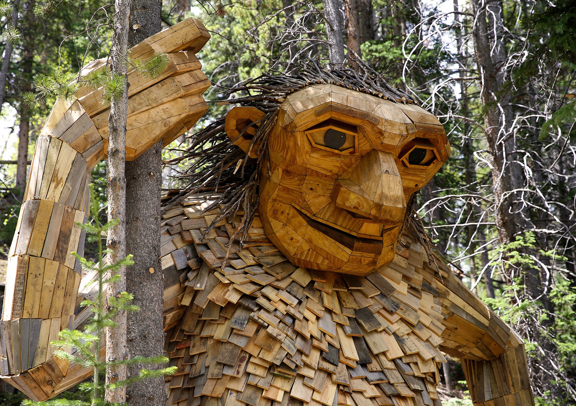 Isak Heartstone peers through the trees in Breckenridge, Colorado.