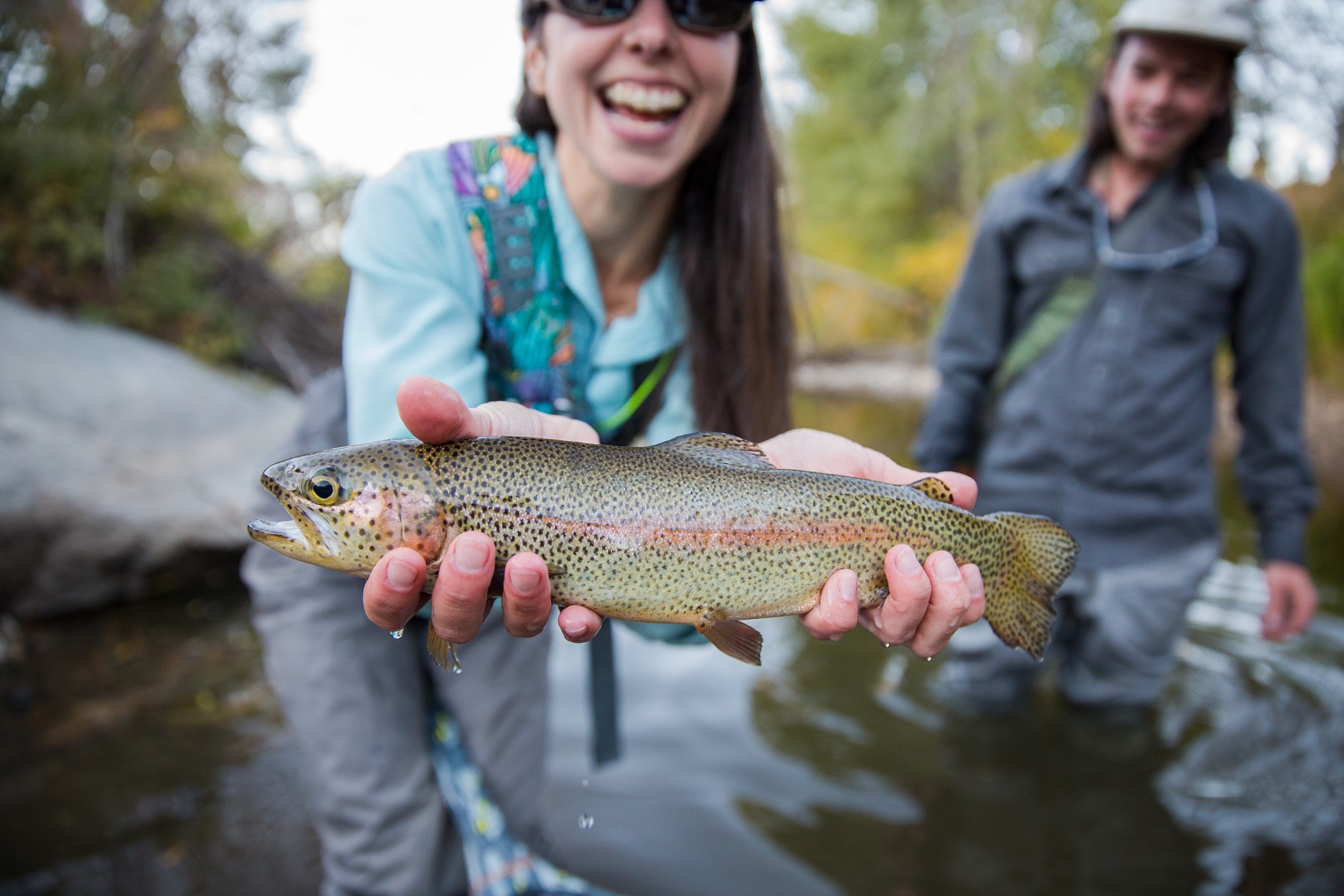 Fall fly fishing Breckenridge